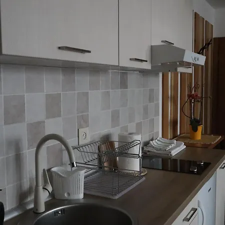 Jopa Suncani Breg アパート コパオニク