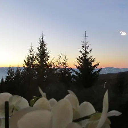 Apartment Jopa Suncani Breg Kopaonik