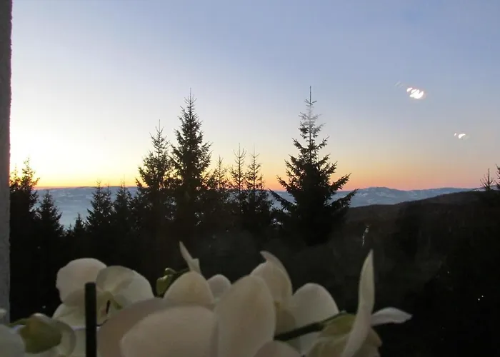 Apartamento Jopa Suncani Breg Kopaonik