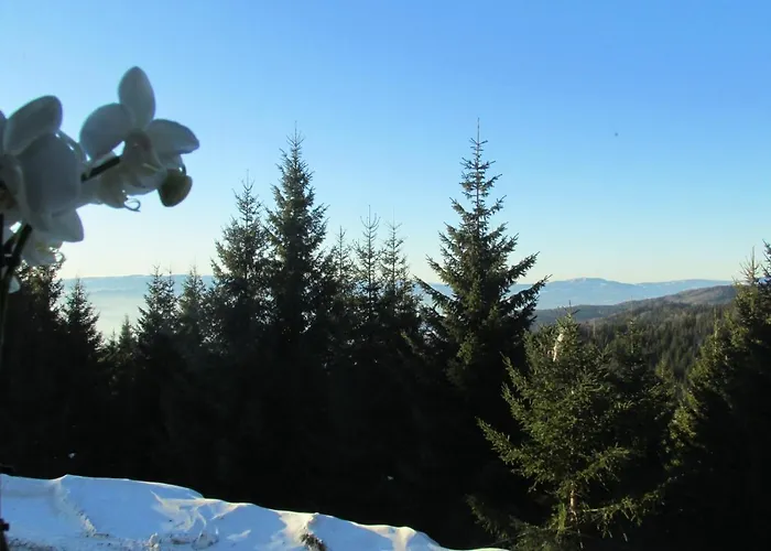 Apartamento Jopa Suncani Breg